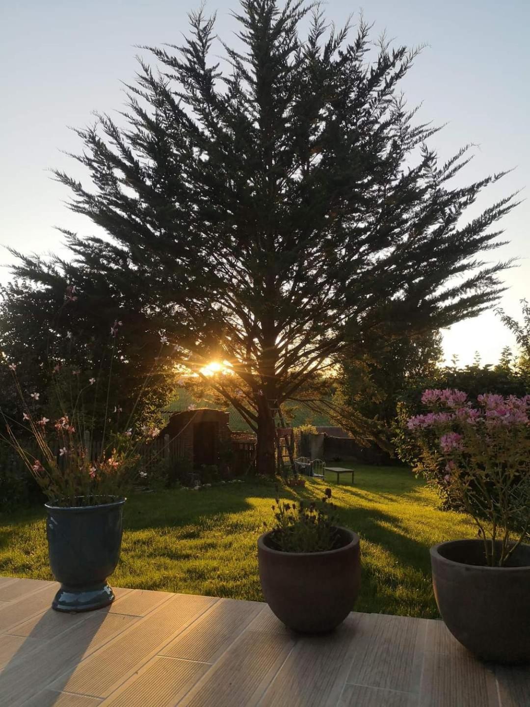 Au Coeur De Mortagne, Un Balcon Sur Le Perche Vila Exterior foto